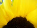 2010 05 24 jeanmarcperfetti.com 074.JPG